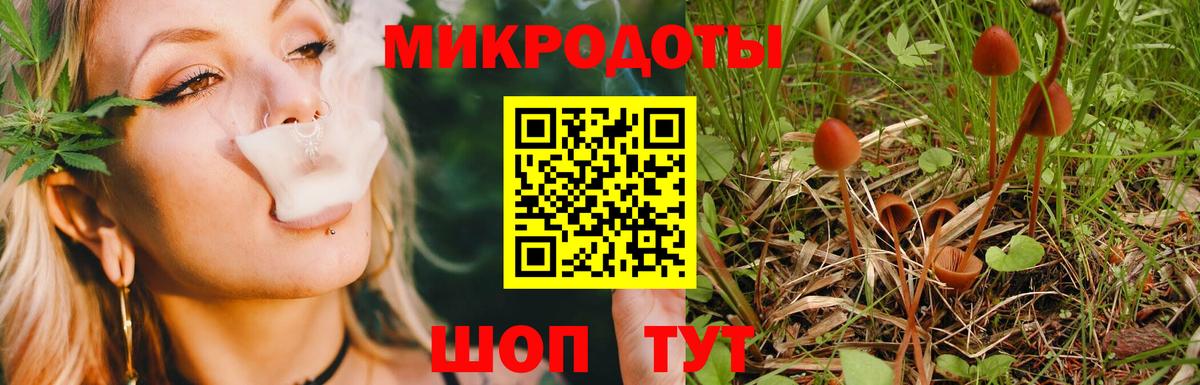 Свободный  Галлюциногенные грибы Magic Shrooms  Вход с VPN 